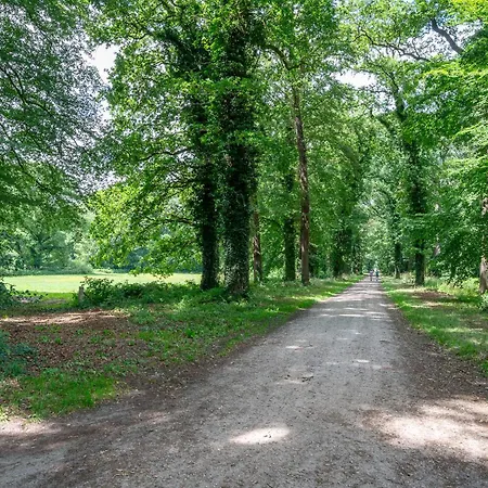 Zwaluwenburg 8